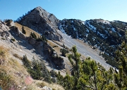 Quasi in vetta al MONTE SECCO (2293 m.) in solitaria con i camosci il 5 novembre 2012  - FOTOGALLERY